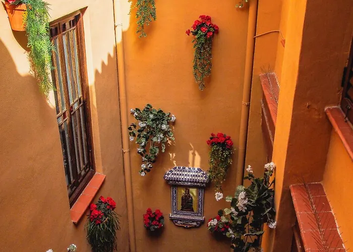 Atico Con Terraza En La Goleta